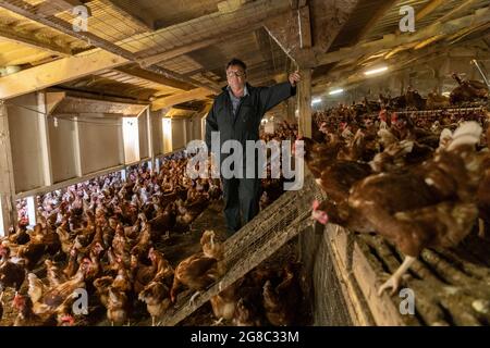 L'agricoltore Douglas Wantall, nella sua fattoria nel Kent, sta adottando un'azione legale contro il venerdì sostenendo che è colpa di un focolaio di salmonella sulle sue aziende agricole Foto Stock