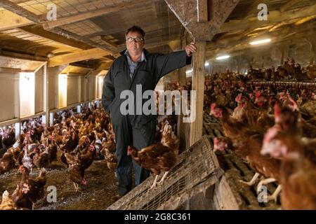 L'agricoltore Douglas Wantall, nella sua fattoria nel Kent, sta adottando un'azione legale contro il venerdì sostenendo che è colpa di un focolaio di salmonella sulle sue aziende agricole Foto Stock