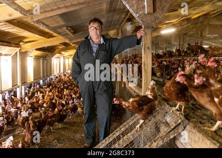 L'agricoltore Douglas Wantall, nella sua fattoria nel Kent, sta adottando un'azione legale contro il venerdì sostenendo che è colpa di un focolaio di salmonella sulle sue aziende agricole Foto Stock