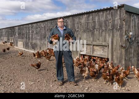 L'agricoltore Douglas Wantall, nella sua fattoria nel Kent, sta adottando un'azione legale contro il venerdì sostenendo che è colpa di un focolaio di salmonella sulle sue aziende agricole Foto Stock