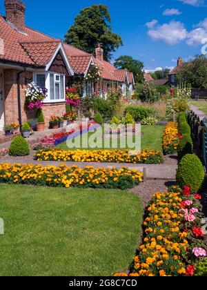 Giardino anteriore tradizionale di un cottage ALMS in Main Street, Heslington, York, North Yorkshire. REGNO UNITO Foto Stock