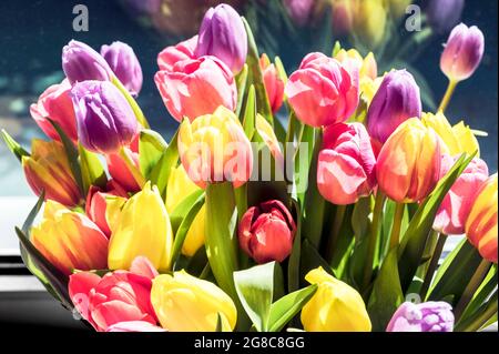Mazzo colorato di tulipani; Bunter Tulpenstraß Foto Stock