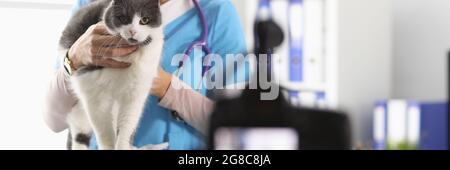 Veterinario donna che tiene gatto e filmare in clinica Foto Stock