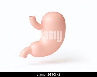 Illustrazione isometrica 3d dello stomaco umano stilizzato isolato su bianco. Ispirato alle tendenze del design piatto Foto Stock
