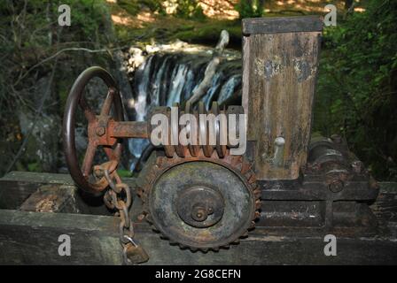 Primo piano di un ingranaggio conduttore Worm su un cancello chiuso. Foto Stock