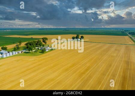 Grandi elevatori a grano in argento moderni silos industriali per agribobusiness per lo stoccaggio del raccolto. Vista aerea del drone Foto Stock