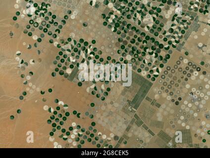 Cerchi di raccolto nel deserto, Arabia Saudita Foto Stock