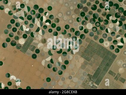 Cerchi di raccolto nel deserto, Arabia Saudita Foto Stock