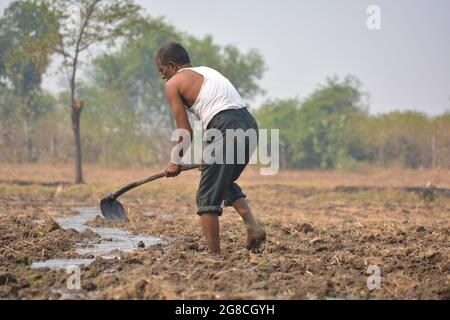 Coltivatore indiano che lavora in campo agricolo Foto Stock