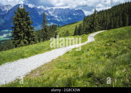 Sentiero escursionistico nella regione dei monti Wilder Kaiser, Tirol - Austria Foto Stock