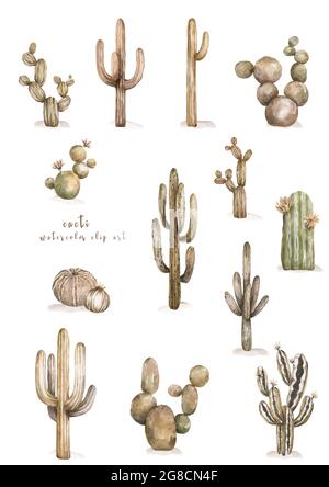 Diversi tipi di piante di cactus icone decorative realistiche insieme illustrazione isolata Foto Stock