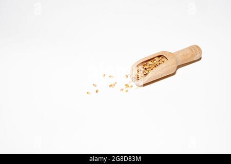 Semi di lino dorati su cucchiaio di legno su sfondo bianco Foto Stock