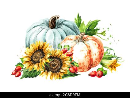 Composizione autunnale con zucche, fiori di girasole e bacche. Illustrazione di acquerello disegnata a mano, isolata su sfondo bianco Foto Stock