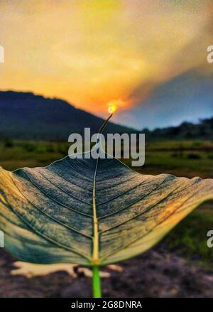 Tramonto in montagna Foto Stock