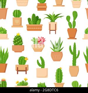 Motivo senza giunture Cactus. Pianta tropicale, cactus succulento e carino con fiore in vaso. Casa floreale di tendenza piante decorazione vettoriale carta da parati stampa Illustrazione Vettoriale