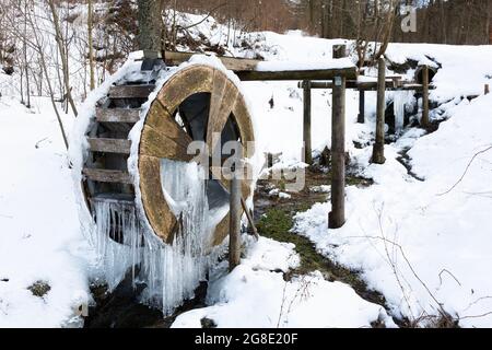 In un torrente una ruota d'acqua in legno in inverno è coperta di fitti sicli. Foto Stock