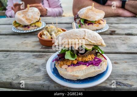 Panini granchio a Instow, Devon, Inghilterra Foto Stock