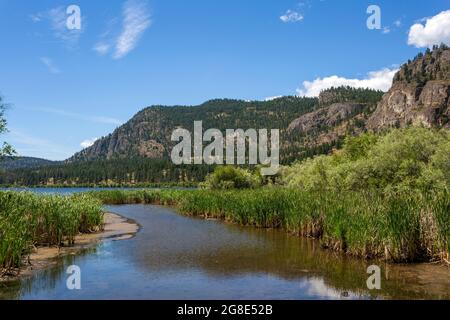 L'Osservatorio degli Uccelli del Lago di Vaseux si trova sul lato ovest dell'autostrada 97, 1 km a nord del Lago di Vaseux e 4 km a sud delle Cascate di Okanagan, BC. Foto Stock