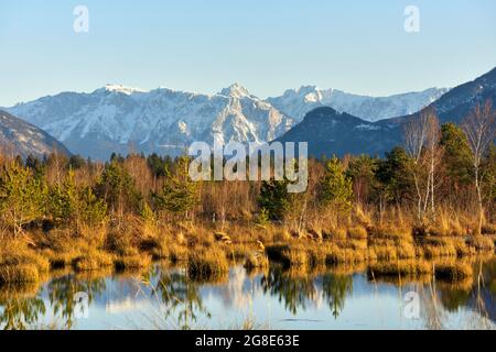 Acqua superficie in moor paesaggio con birches betulla Downy (Betula pubescens) e pini SCOTS (Pinus sylvestris) pino, nella parte posteriore innevata Foto Stock