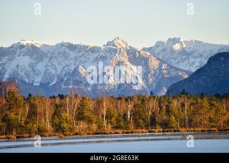 Acqua superficie in moor paesaggio con birches betulla Downy (Betula pubescens) e pini SCOTS (Pinus sylvestris) pino, nella parte posteriore innevata Foto Stock