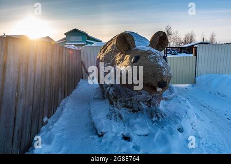 Aer ha fatto nostro di sterco di vacca, villaggio di Uolba, strada di Bones, Repubblica Sakha, Yakutia, Russia Foto Stock