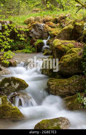 Gorge de Perrefitte, piccola gola, ruscello Chaliere, Perrefitte, Giura bernese, Berna, Svizzera Foto Stock