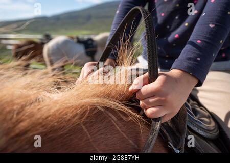 Ragazza che tiene le redini nelle sue mani, allevamento di cavalli Lytingstaoir, Islanda del Nord, Islanda Foto Stock