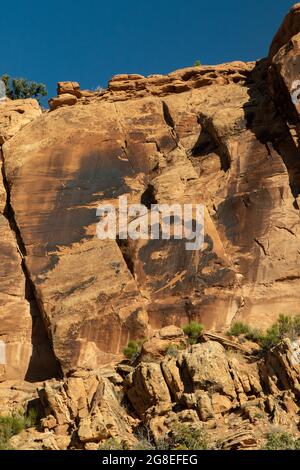 Petroglifi nel Dinosaur National Monument, Utah. La grande lucertola chiaramente definita domina la vista Foto Stock