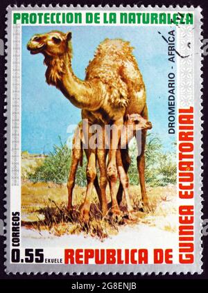 GUINEA EQUATORIALE - CIRCA 1974: Un francobollo stampato in Guinea Equatoriale mostra Dromedario, Camelus Dromedario, animale, circa 1974 Foto Stock