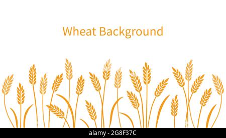 Grano, orzo, sfondo di campo per avena, cereali. Stile di schizzo disegnato a mano con grana. Sfondo dell'illustrazione del vettore del grano. Orzo di colore dorato. Illustrazione Vettoriale