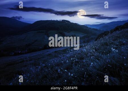 paesaggio rurale valle di notte. bello paesaggio naturale carpazi con colline erbose, campi e prati tra colline boscose in piena luce luna. Foto Stock