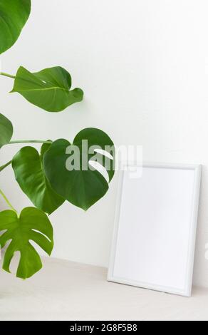 Home decor moccap, cornice vuota vicino bianco dipinto muro di cemento, verde Monstera casa fiore Foto Stock