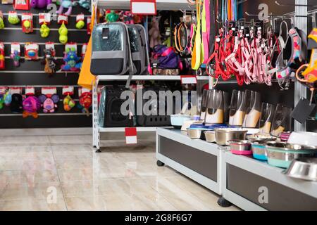 Interno del negozio per animali domestici con accessori per animali domestici Foto Stock