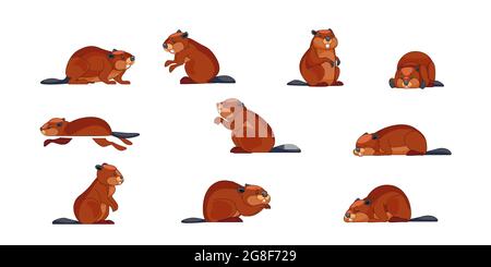 Beaver Wild Animal Set illustrazione vettoriale. Carattere divertente in varie pose cartoon design. Concetto di giorno di Groundhog. Isolato su sfondo bianco Illustrazione Vettoriale