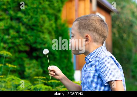 Un ragazzo carino preschool con una pettinatura ordinata in una camicia blu soffia su un dente di leone in una calda giornata estiva nel villaggio. Messa a fuoco selettiva. Verticale Foto Stock