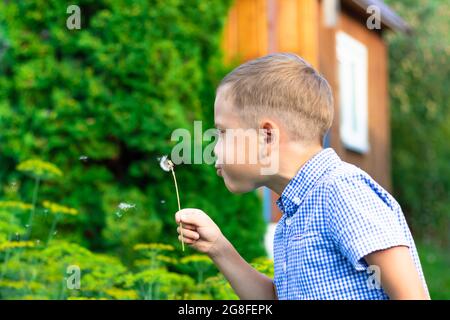 Un ragazzo carino preschool con una pettinatura ordinata in una camicia blu soffia su un dente di leone in una calda giornata estiva nel villaggio. Messa a fuoco selettiva. Verticale Foto Stock