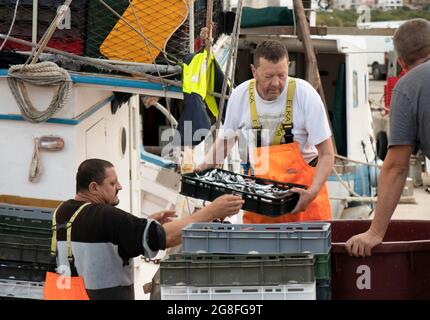 Tribunj, Croazia - 4 luglio 2021: Pescatori che smistano le catture su un ponte di una barca a strascico ormeggiata Foto Stock