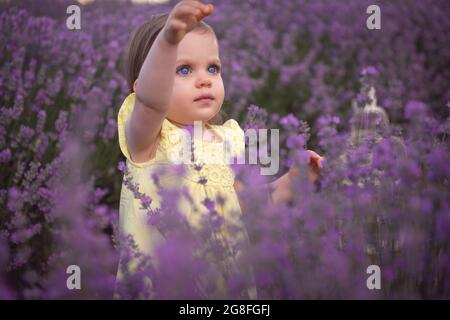 Bella bambina in abito giallo che cammina con un bouquet in un campo di lavanda. Vista del tramonto. Vista panoramica estiva. Ritratto di bionda babygirl. Foto Stock