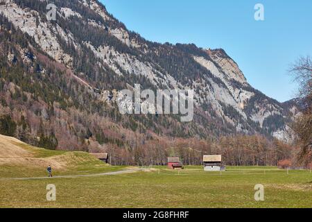 Capretto locale sulla strada dalla scuola. Fienili rurali in alta valle Taminatal vicino Vaettis con stazione superiore di funivia Feuscha su Vaettnerberg Foto Stock