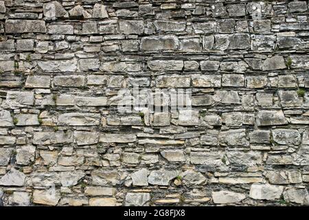 Lavori di pietra sul castello medievale di Trim in Irlanda Foto Stock