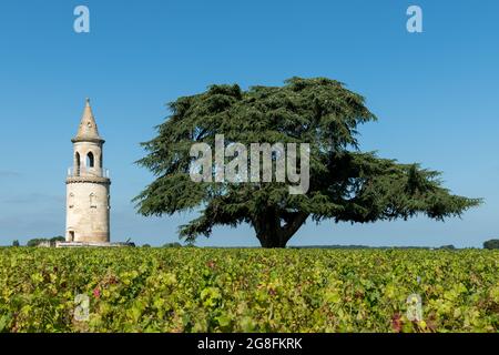 Vecchia torre nei vigneti della zona del Médoc, in Gironda, Francia Foto Stock