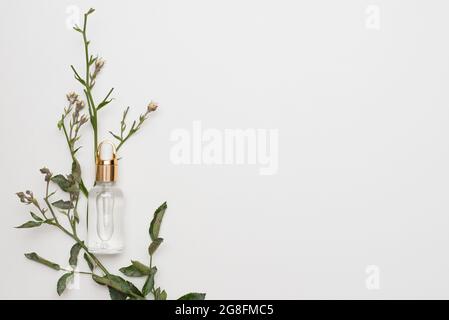 contenitore per bottiglie per la cura della pelle cosmetica naturale e foglia verde organica su sfondo bianco. Il concetto di prodotto di bellezza e di rimedio fatto in casa. Foto Stock