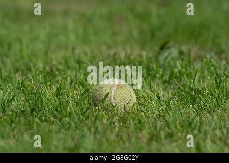 Palla da tennis in erba Foto Stock