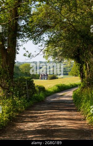 Vista lungo il sentiero pubblico di Ham Lane e il paesaggio di High Weald, Burwash, High Weald AONB (Area of Outstanding Natural Beauty), East Sussex, Inghilterra Foto Stock