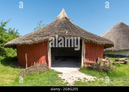 La casa rotonda dell'età del ferro ricostruita al museo archeologico all'aperto Butser Ancient Farm nell'Hampshire, Inghilterra, Regno Unito Foto Stock