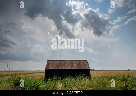 Tick Fen Warboys, Cambridgeshire, Regno Unito. 20 luglio 2021. Le nubi della tempesta si radunano nel grande cielo angliano orientale sopra un fienile nelle Fens Cambridgeshire. L'ondata di caldo e il clima umido hanno creato temporali in tutta l'est del Regno Unito. Per il resto della settimana si prevedono temperature elevate continue. Credit: Julian Eales/Alamy Live News Foto Stock