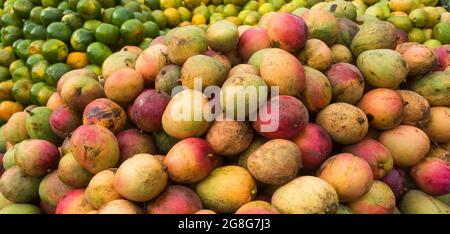 Mangifera indica - la frutta tommy del Mango nel mercato colombiano tradizionale Foto Stock