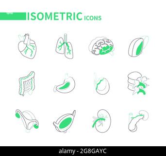 Organi interni umani - icone isometriche di linea impostate su sfondo bianco. Sanità e medicina, idea di anatomia. Cuore, polmoni, cervello, fegato, stomaco, bladd Illustrazione Vettoriale