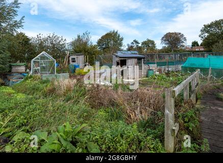 Una tipica assegnazione inglese, per i giardinieri locali a coltivare prodotti, fornita dall'autorità locale Foto Stock