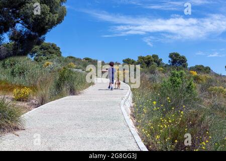 ragazzo dai capelli ricci e il suo piccolo cane visto da dietro camminando in salita su un sentiero nella foresta Foto Stock